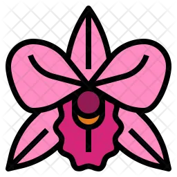 Orchid Flower  Icon