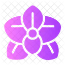 Orchid Flower  Icon