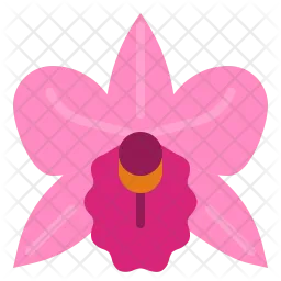 Orchid Flower  Icon