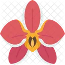 Orchid Flower Orchid Flower Icon
