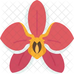 Orchid Flower  Icon