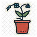 Orchid Flower Plant Icon