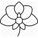 Orchid Flower V Orchidflower Icon