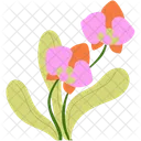 Orchid Flower Flower Nature Icon