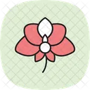 Orchid Flower Orchidflower Orchid Icon