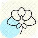 Orchid Flower Orchidflower Orchid Icon