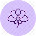 Orchid Flower Orchidflower Orchid Icon