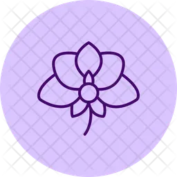 Orchid flower  Icon
