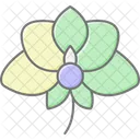 Orchid Flower Orchidflower Orchid Icon