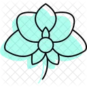 Orchidflower Orchid Flower Icon