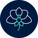 Orchid Flower Orchidflower Orchid Icon