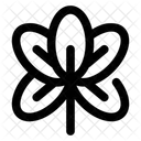 Archid Flower Nature Icon