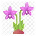 Orchid Flower Orchid Flower Icon