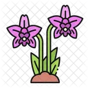 Orchid Flower Orchid Flower Icon