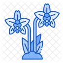 Orchid Flower Orchid Flower Icon