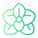 Orchid Flower  Icon