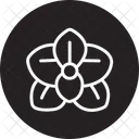 Orchid Flower  Icon