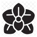 Orchid Flower  Icon
