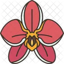 Orchid Flower  Icon