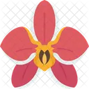 Orchid Flower Orchid Flower Icon