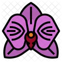 Orchid Flower Perfume Icon