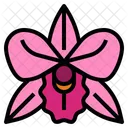 Orchid Flower Perfume Icon