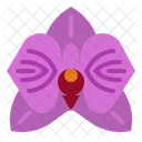 Orchid Flower Perfume Icon