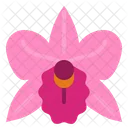 Orchid Flower Perfume Icon