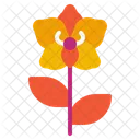 Orchid Flower Nature Icon