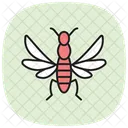 Orchid Insect Bee Icon