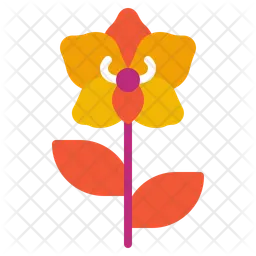 Orchid  Icon