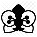 Orchid Flower Nature Icon