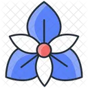 Orchid Flower Nature Icon
