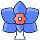 Orchid Flower Nature Icon