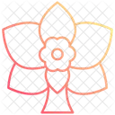 Orchid Flower Nature Icon