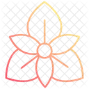 Orchid Flower Nature Icon
