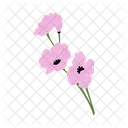 Orchid Flower Blossom Icon