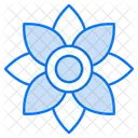 Orchid Flower Nature Icon
