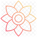 Orchid Flower Nature Icon