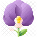 Orchid Flower Nature Icon