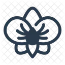 Orchid Flower Nature Icon