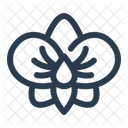 Orchid Flower Nature Icon