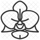 Orchid Flower Garden Icon