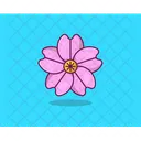 Orchid Spring Flower Agriculture Icon