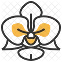 Orchid Flower Icon