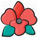 Orchid Bloom Flower Icon