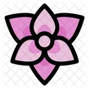 Orchid Flower Floral Icon