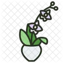 Orchid Flower Blossom Icon