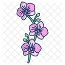 Orchid Flower Blossom Icon