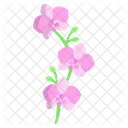 Orchid Flower Blossom Icon
